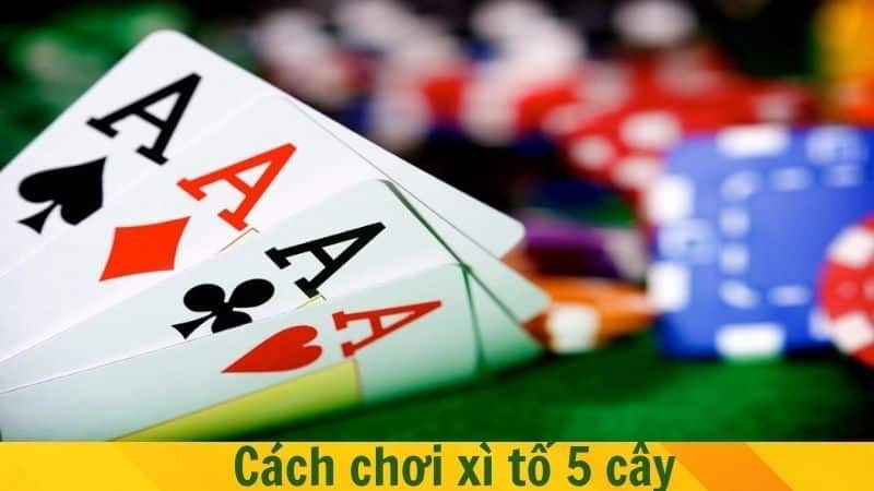 Cách chơi xì tố 5 cây cho người mới 