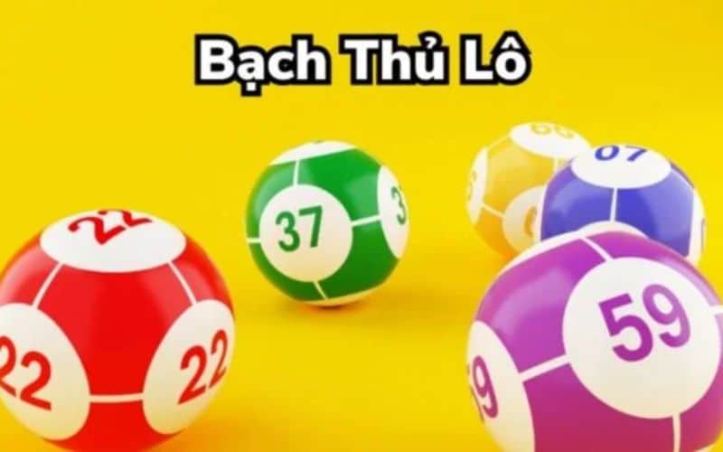 Đánh giá ưu nhược điểm của bạch thủ lô là gì?